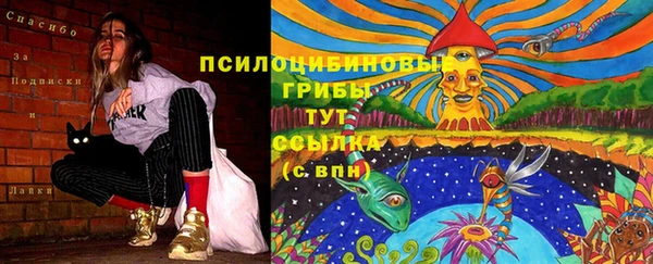 бутират Снежногорск