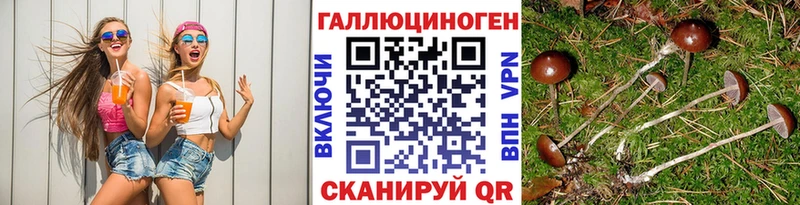 Псилоцибиновые грибы Psilocybe  наркошоп  Цимлянск 